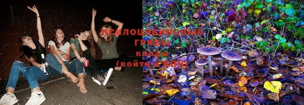 таблы Горняк