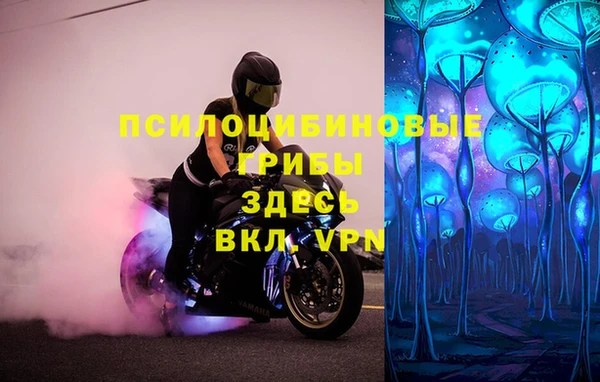 СК Горнозаводск