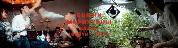 СК Горнозаводск